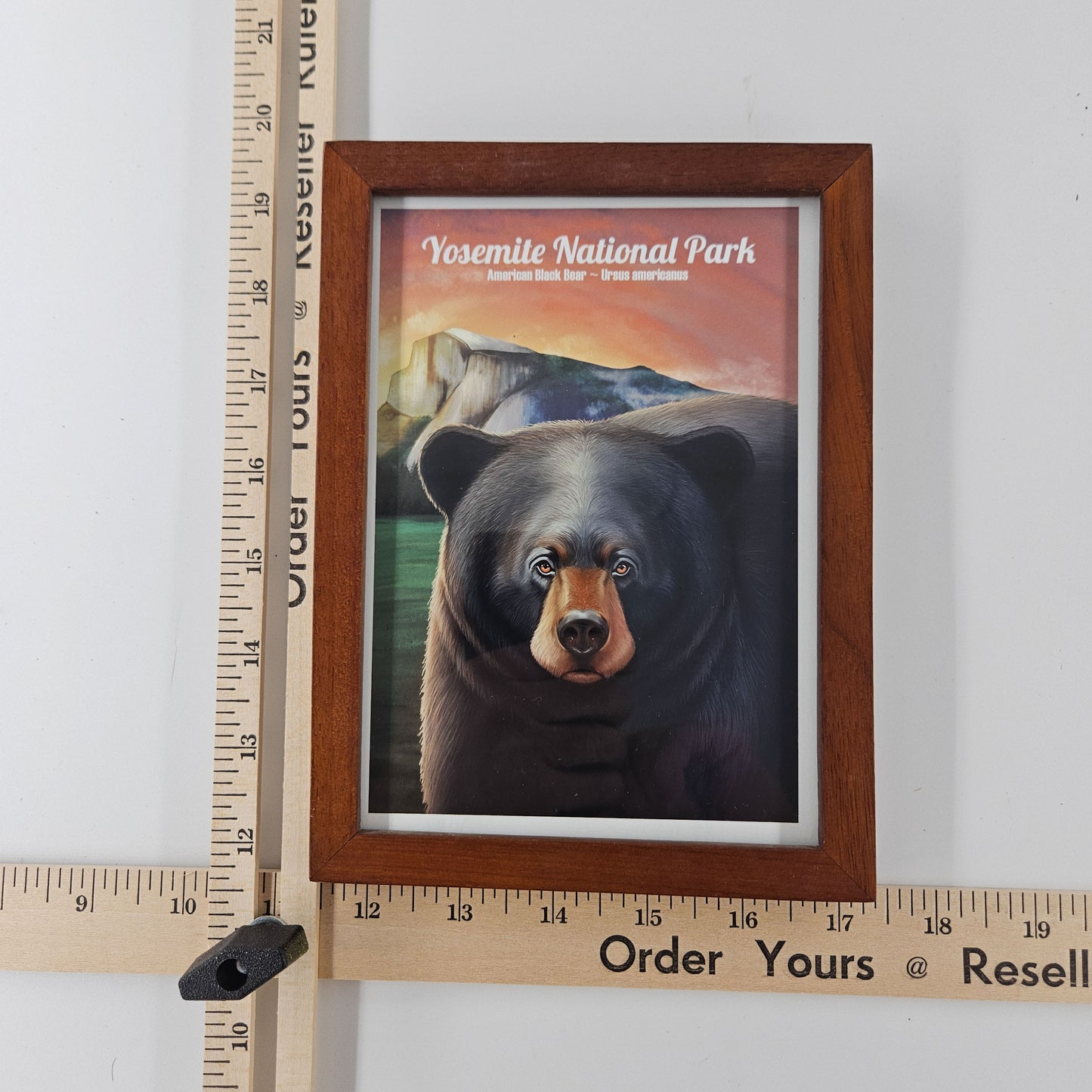 Rustic Yosemite Black Bear Print w/ Second-Life Frame 5.75" x 8