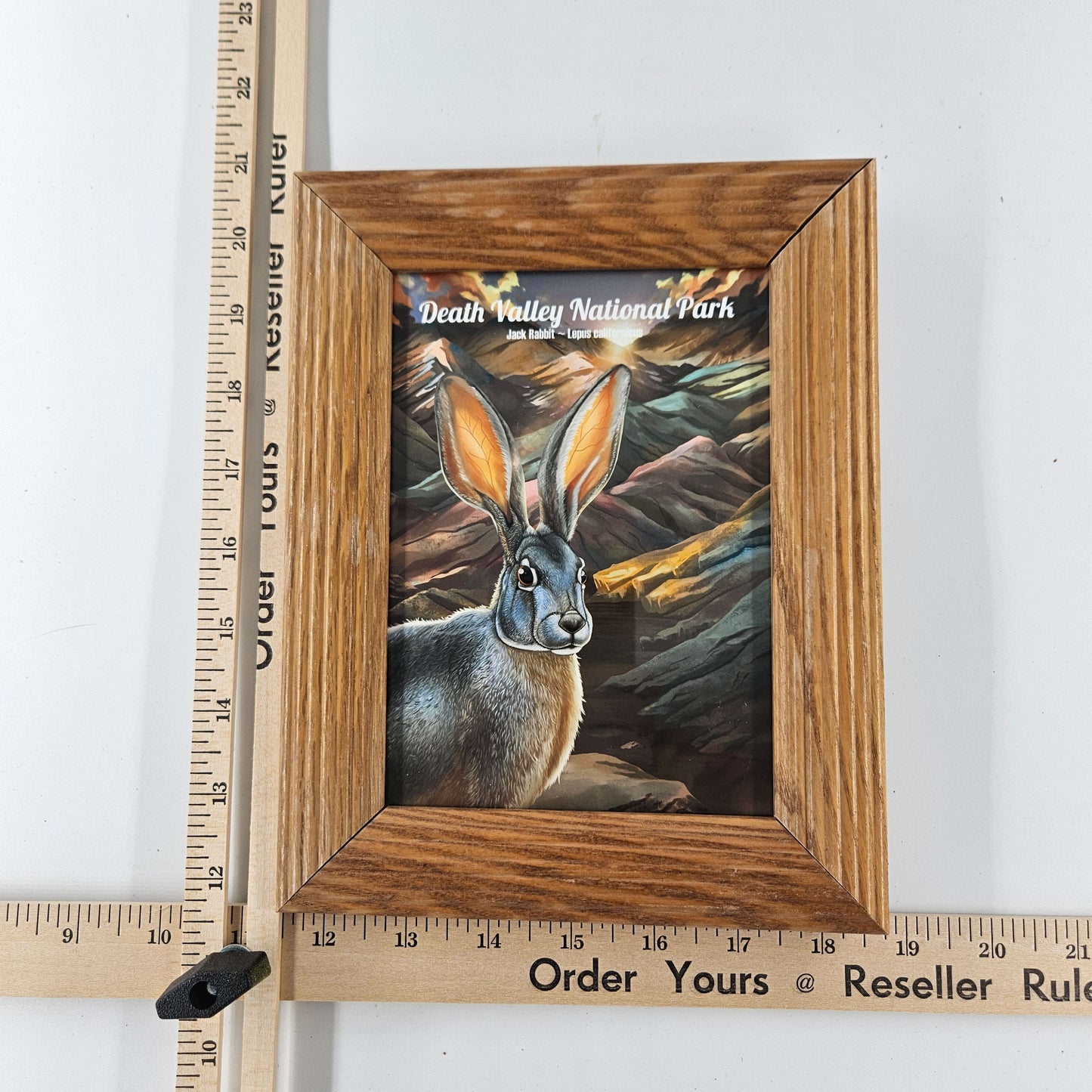 Vintage Death Valley Jackrabbit Print w/ Second-Life Frame 7"x 9"
