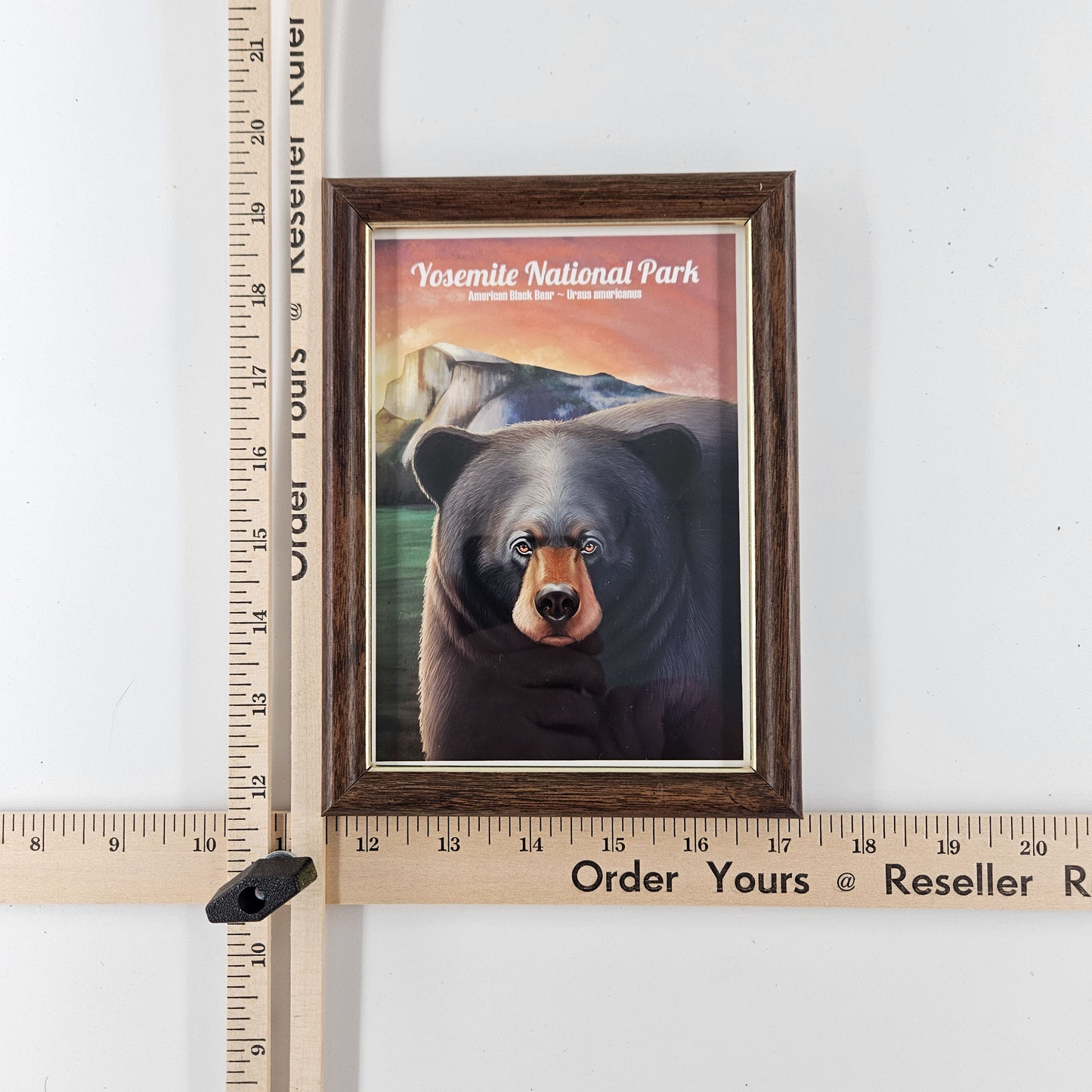 Vintage Yosemite Black Bear Print w/ Second-Life Frame5.75"x 7.75"