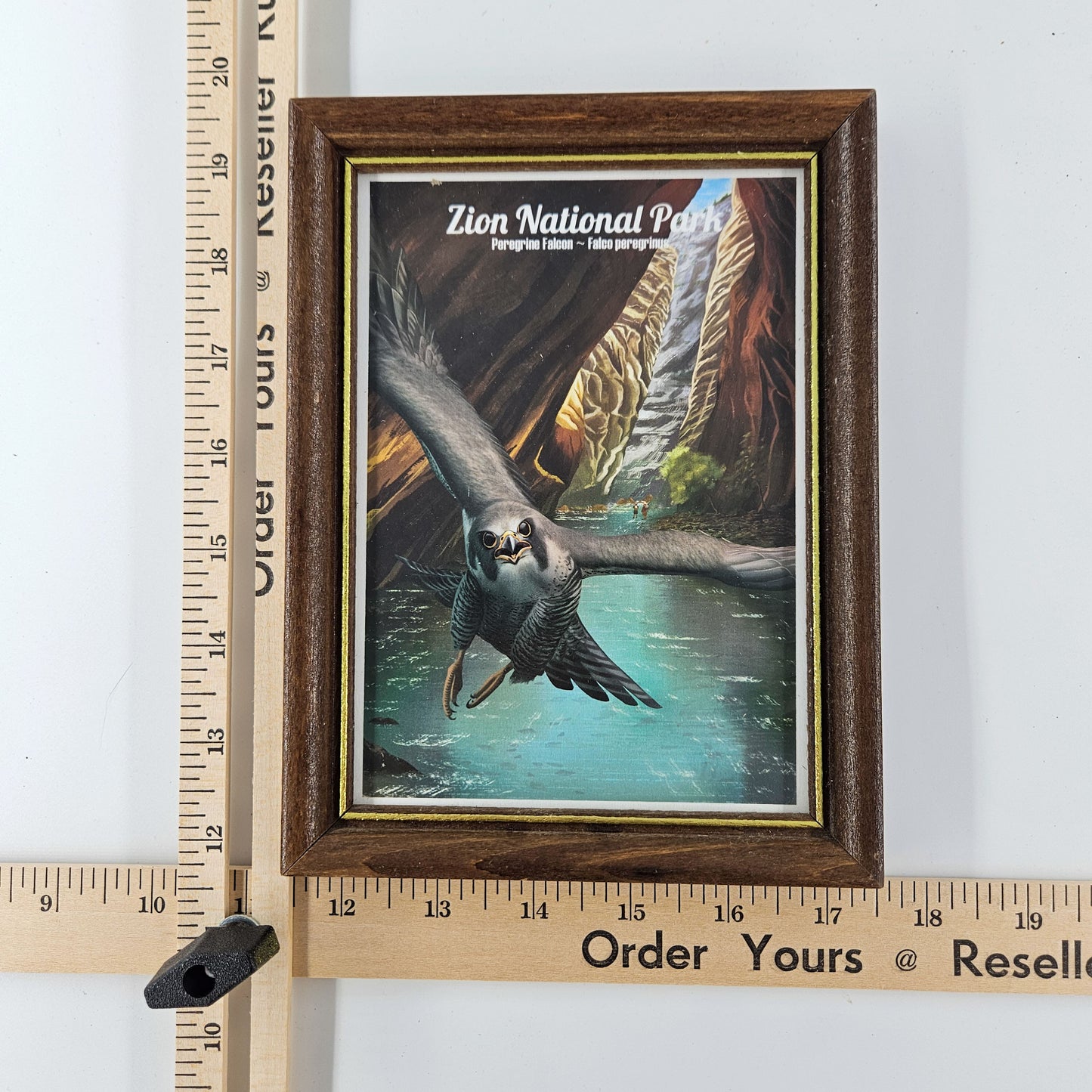 Vintage Zion Falcon Print w/ Second-Life Frame 6"x 7.75"