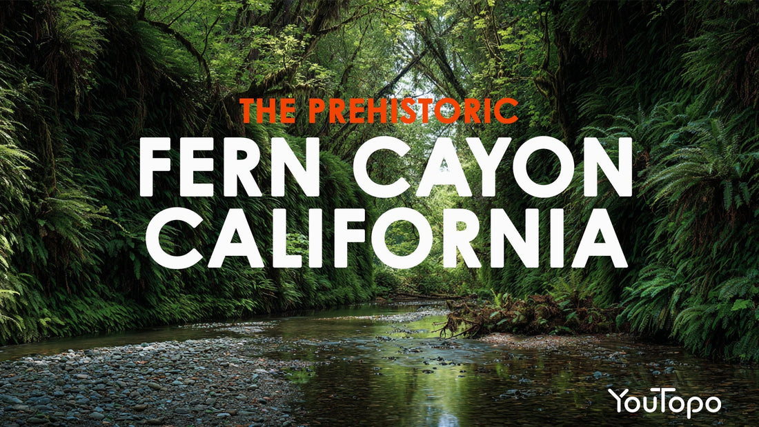 The Incredible Fern Canyon at Prairie Creek Redwoods State Park — Roadtrip Concert Guide