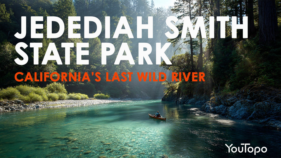 Jedediah Smith Redwoods State Park — Roadtrip Concert Guide