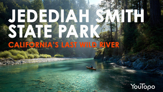 Jedediah Smith Redwoods State Park — Roadtrip Concert Guide