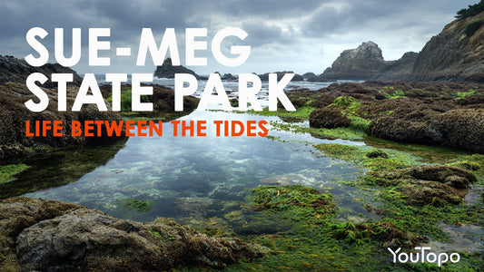 Sue-Meg State Park (Patrick's Point) Roadtrip Concert Guide