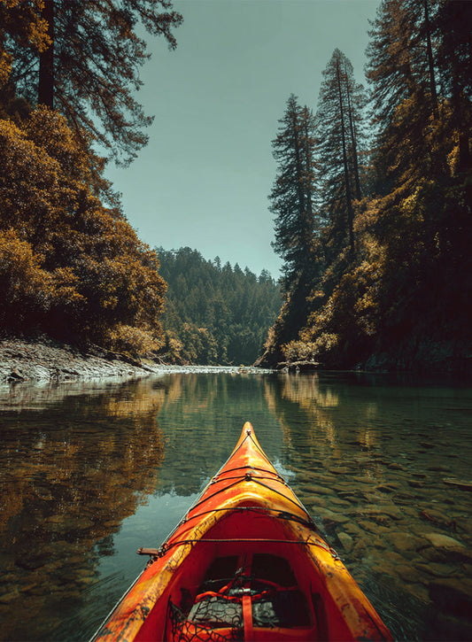 Jedediah Smith Redwoods State Park — Roadtrip Concert Guide