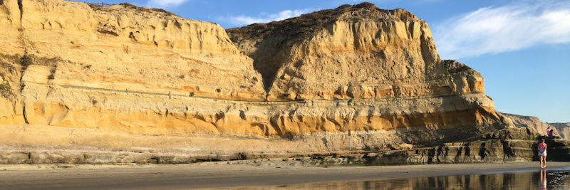 Torrey Pines Cliffs