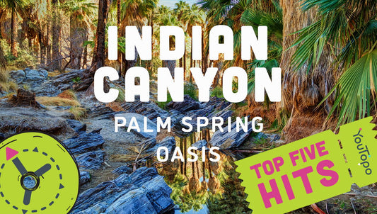Top 5 Hits at Palm Springs Indian Canyon