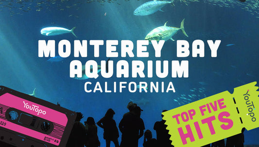 Top 5 Family Hits at Monterey Bay Aquarium