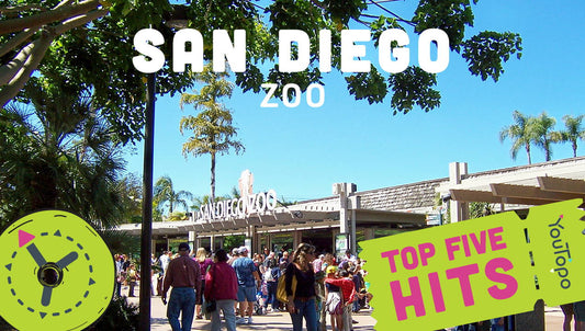 Top 5 Family Adventures at San Diego Zoo