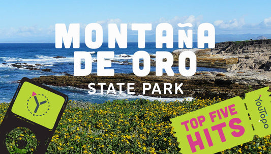 Top 5 Family Adventures at Montaña De Oro State Park