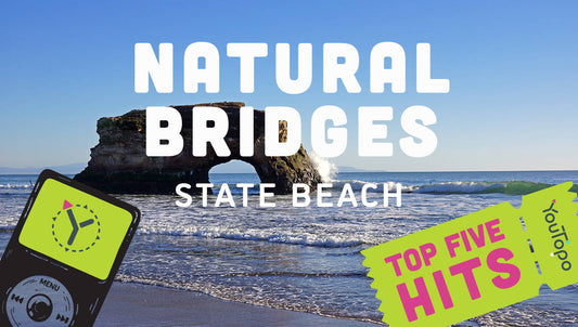 Top 5 Family Hits at Natural Bridges State Park