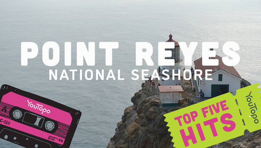 Top 5 Family Adventures at Point Reyes National Seashore