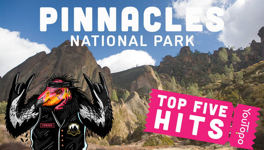 Top 5 Family Adventures at Pinnacles National Park