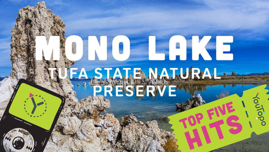 Top 5 Family Hits at Mono Lake
