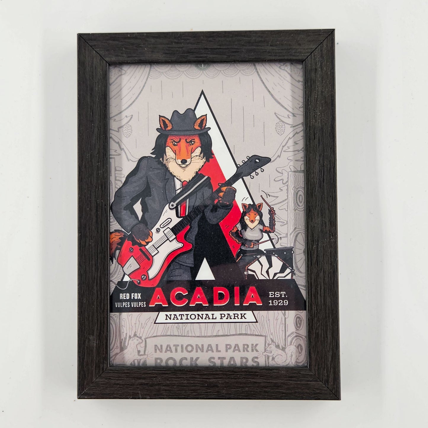 Acadia Red Fox Print w/ Second-Life Frame 5"x 7"