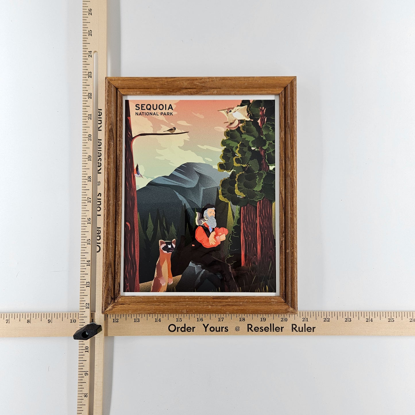 Rustic Sequoia Print w/ Second-Life Frame 9" x 11"
