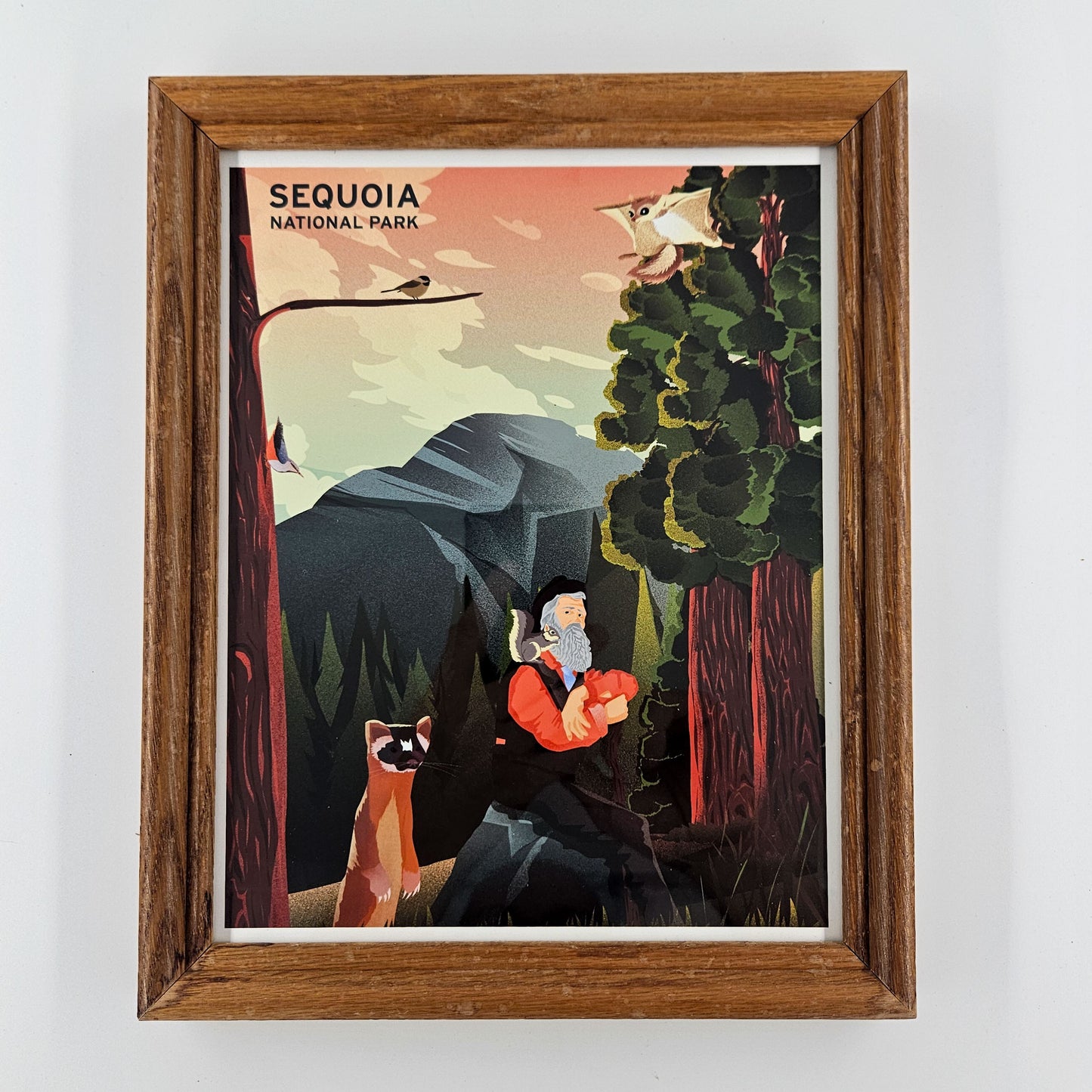 Rustic Sequoia Print w/ Second-Life Frame 9" x 11"
