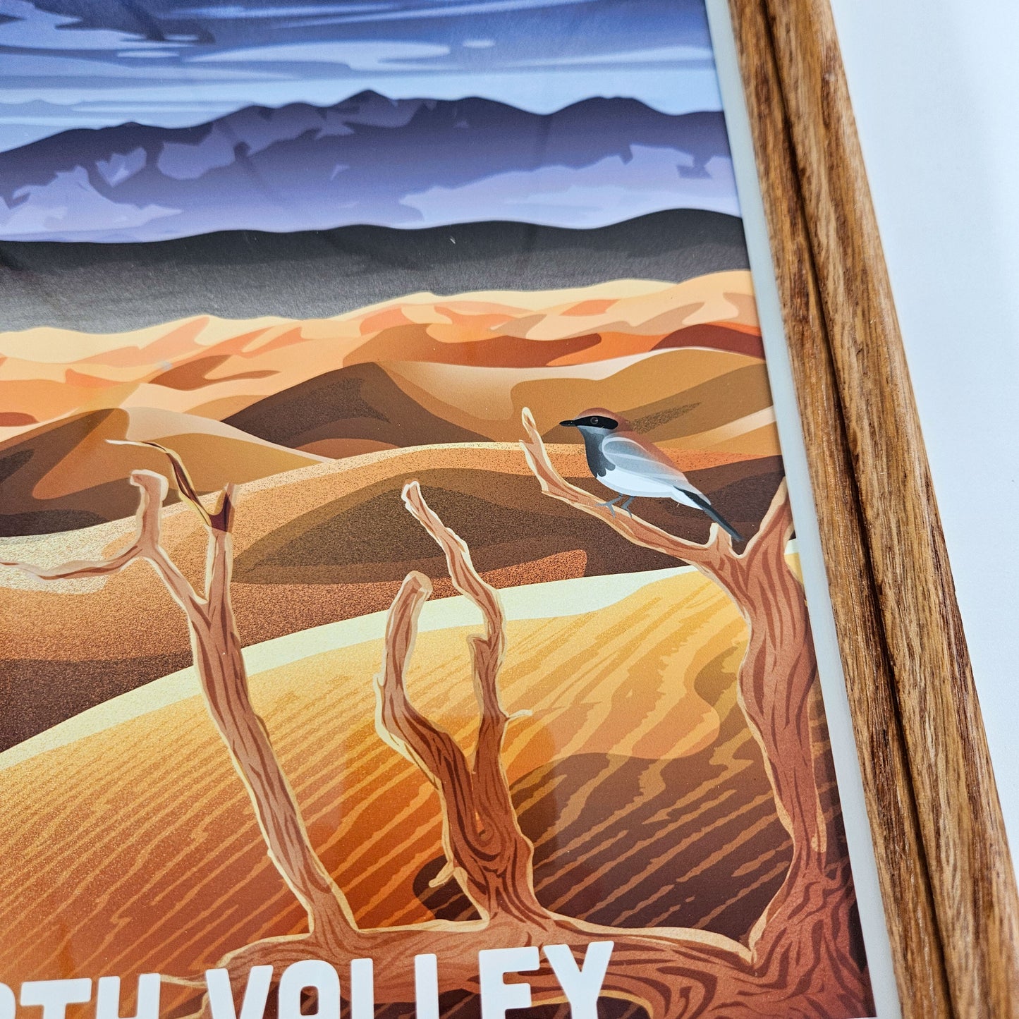 Rustic Death Valley Print w/ Second-Life Frame 9" x 11"