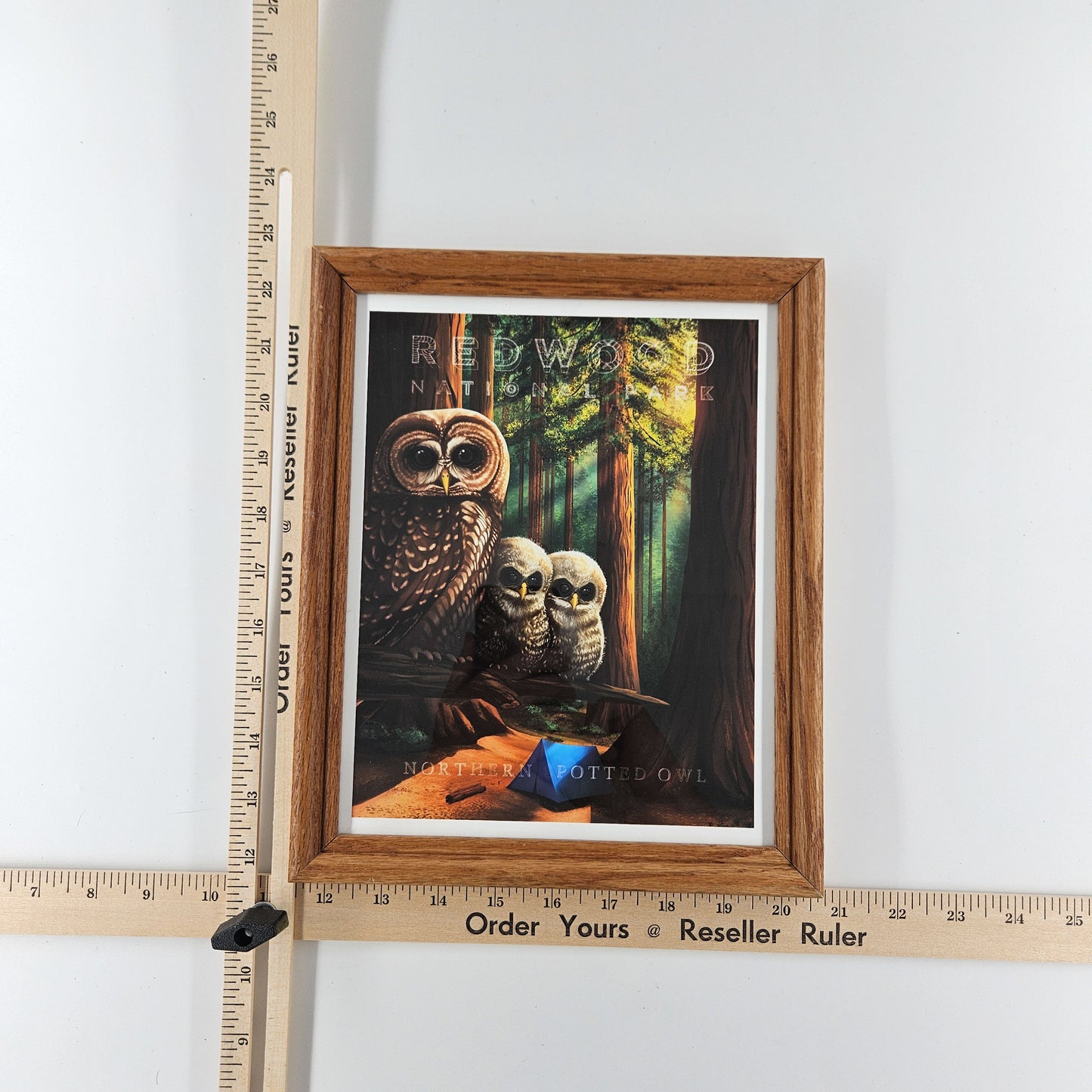 Vintage Redwood Owl Print w/ Second-Life Frame 9"x 11"