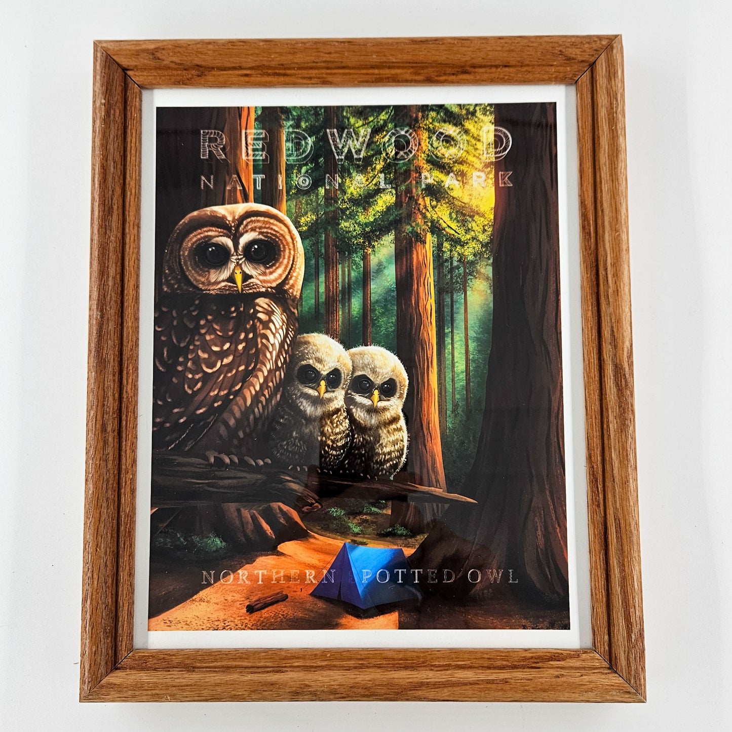 Vintage Redwood Owl Print w/ Second-Life Frame 9"x 11"
