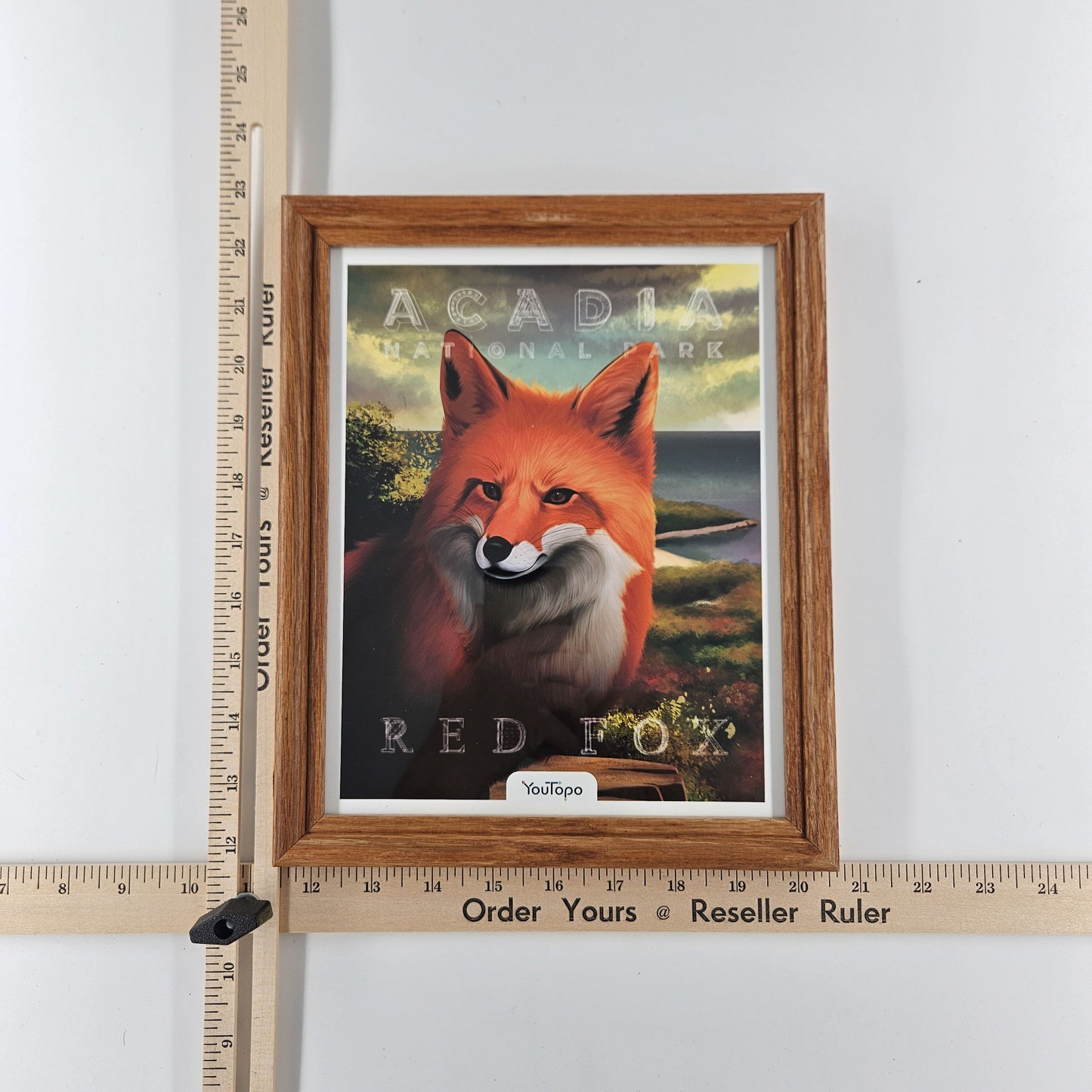 Vintage Acadia Red Fox Print w/ Second-Life Frame 9" x 11"