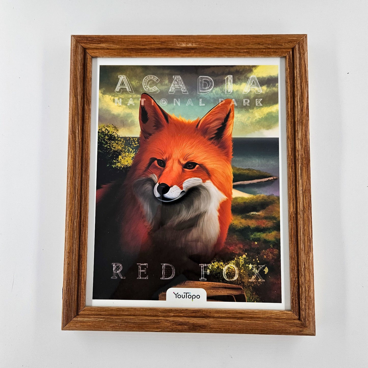 Vintage Acadia Red Fox Print w/ Second-Life Frame 9" x 11"