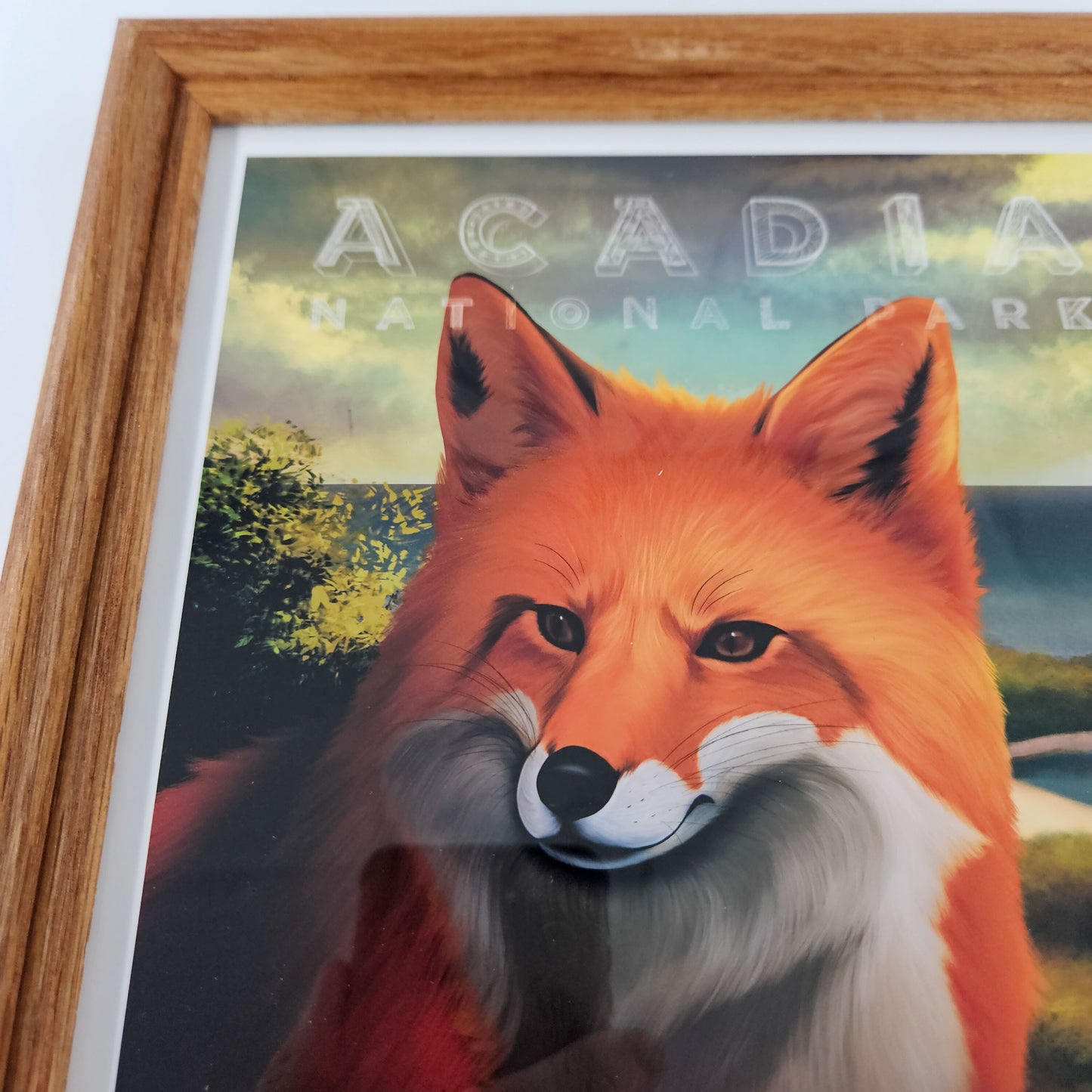 Vintage Acadia Red Fox Print w/ Second-Life Frame 9" x 11"