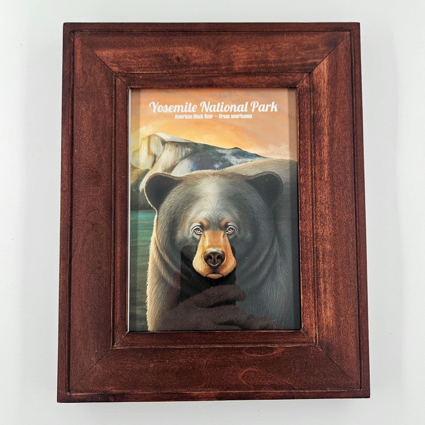 Rustic Yosemite Black Bear 8" x 10"