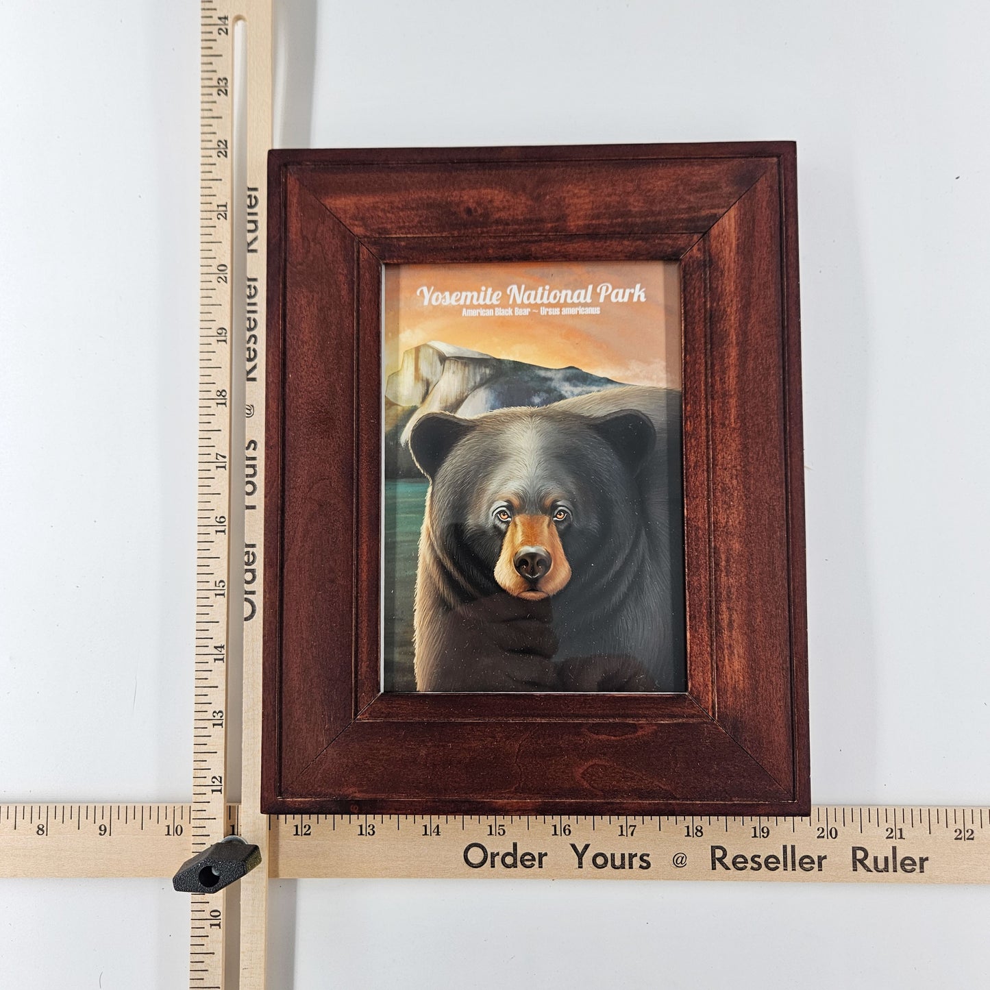 Rustic Yosemite Black Bear 8" x 10"