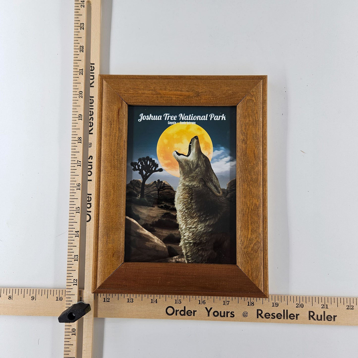 Vintage Joshua Tree Coyote Print w/ Second-Life Frame 7" x 9"