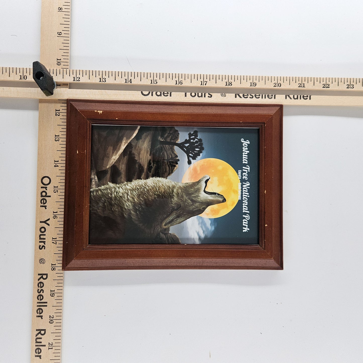 Rustic Joshua Tree Coyote Print w/ Second-Life Frame 6.5" x 8.5"