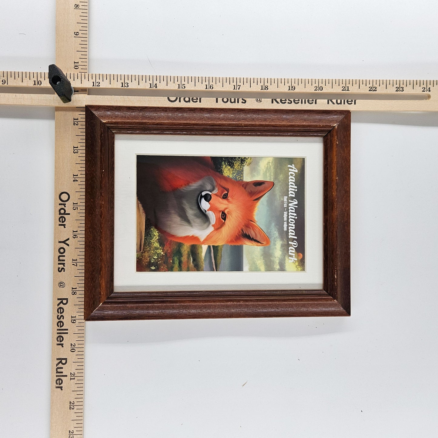 Rustic Acadia Red Fox Print w/ Second-Life Frame 7.5" x 9.5"