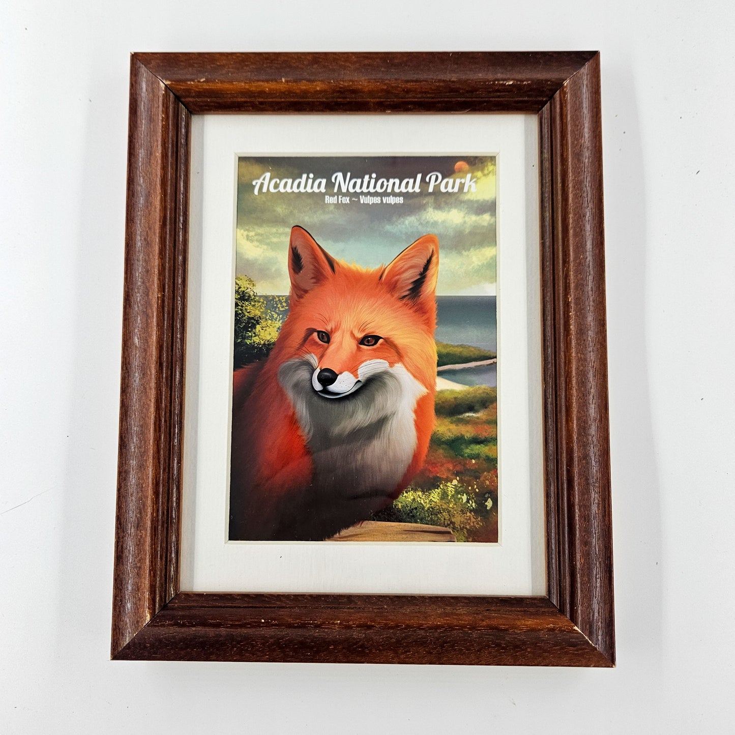 Rustic Acadia Red Fox Print w/ Second-Life Frame 7.5" x 9.5"