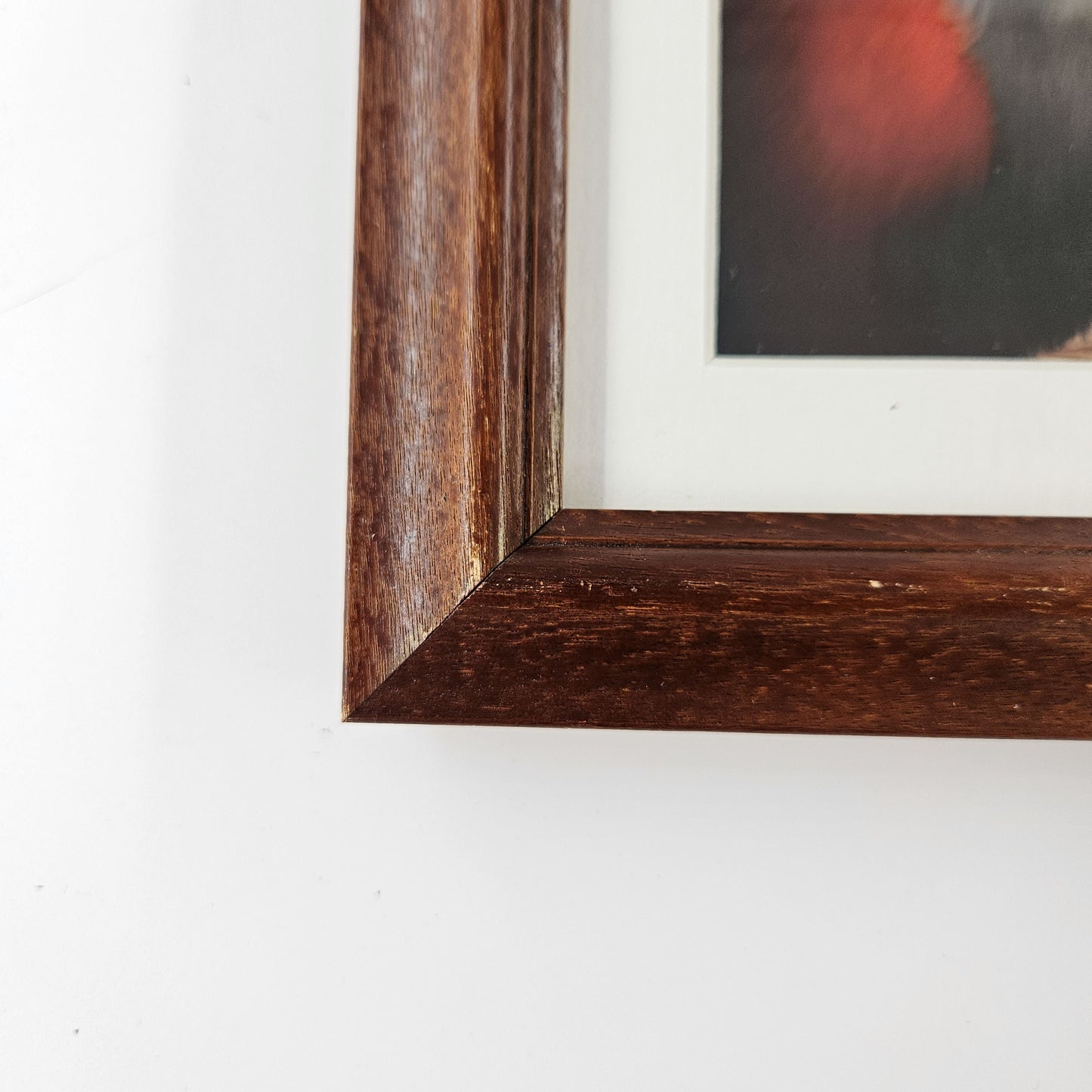 Rustic Acadia Red Fox Print w/ Second-Life Frame 7.5" x 9.5"