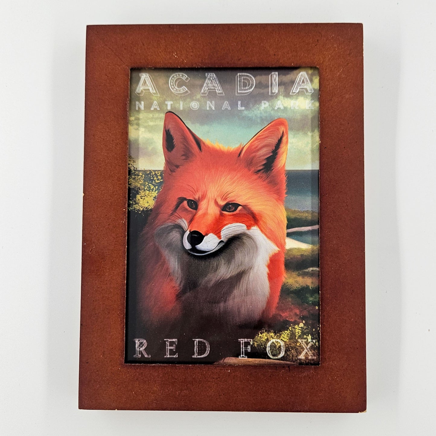Vintage Acadia Red Fox Print w/ Second-Life Frame 5.5" x 7.5"
