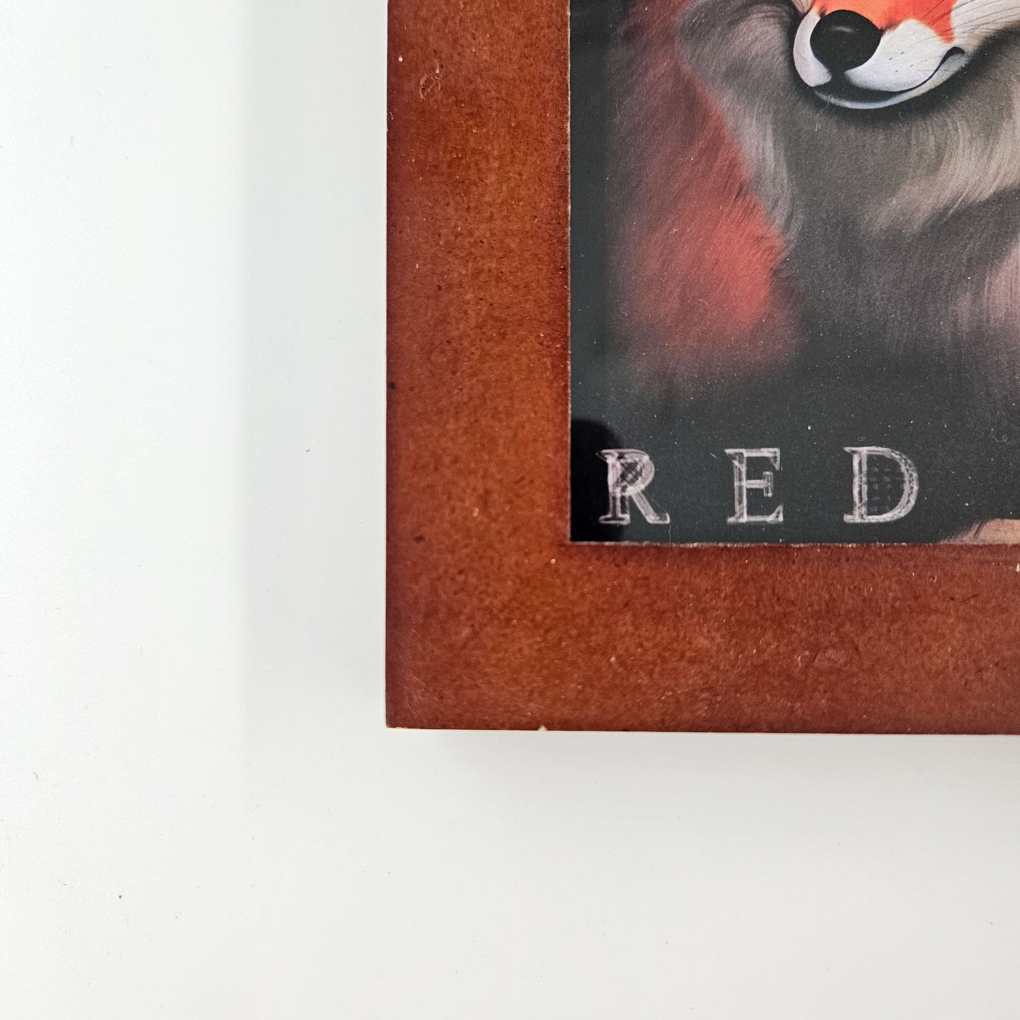 Vintage Acadia Red Fox Print w/ Second-Life Frame 5.5" x 7.5"