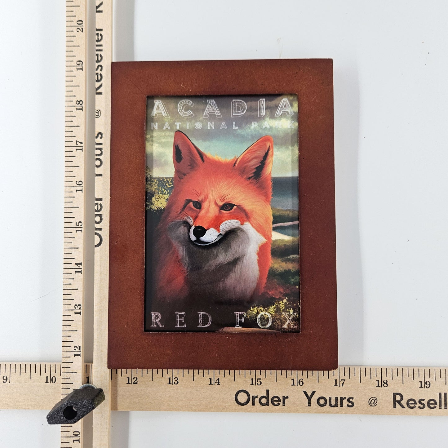 Vintage Acadia Red Fox Print w/ Second-Life Frame 5.5" x 7.5"