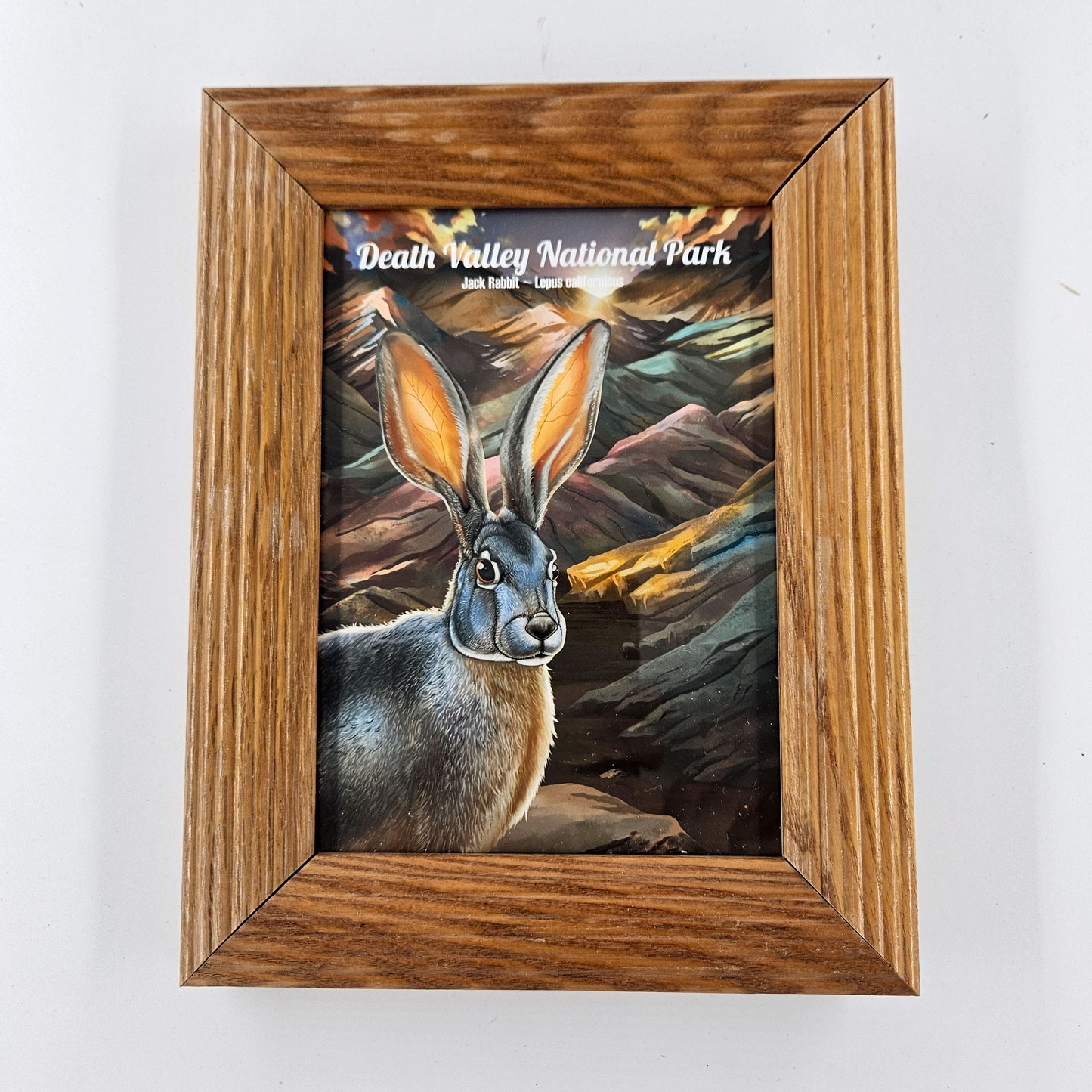 Vintage Death Valley Jackrabbit Print w/ Second-Life Frame 7"x 9"