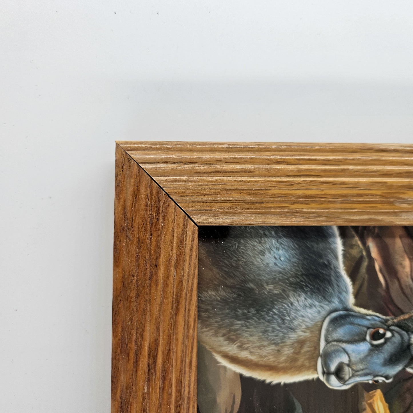 Vintage Death Valley Jackrabbit Print w/ Second-Life Frame 7"x 9"