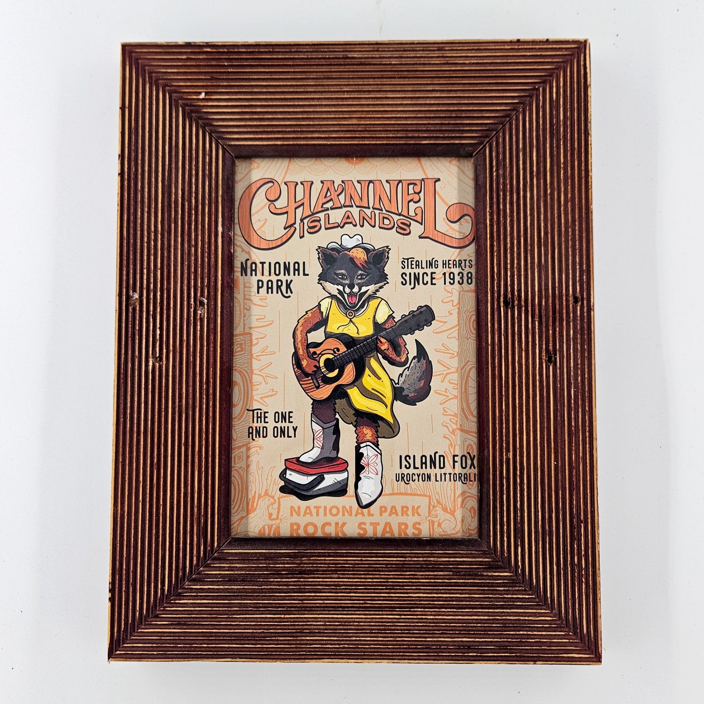 Channel Island Fox Print w/ Second-Life Frame 7"x 9"