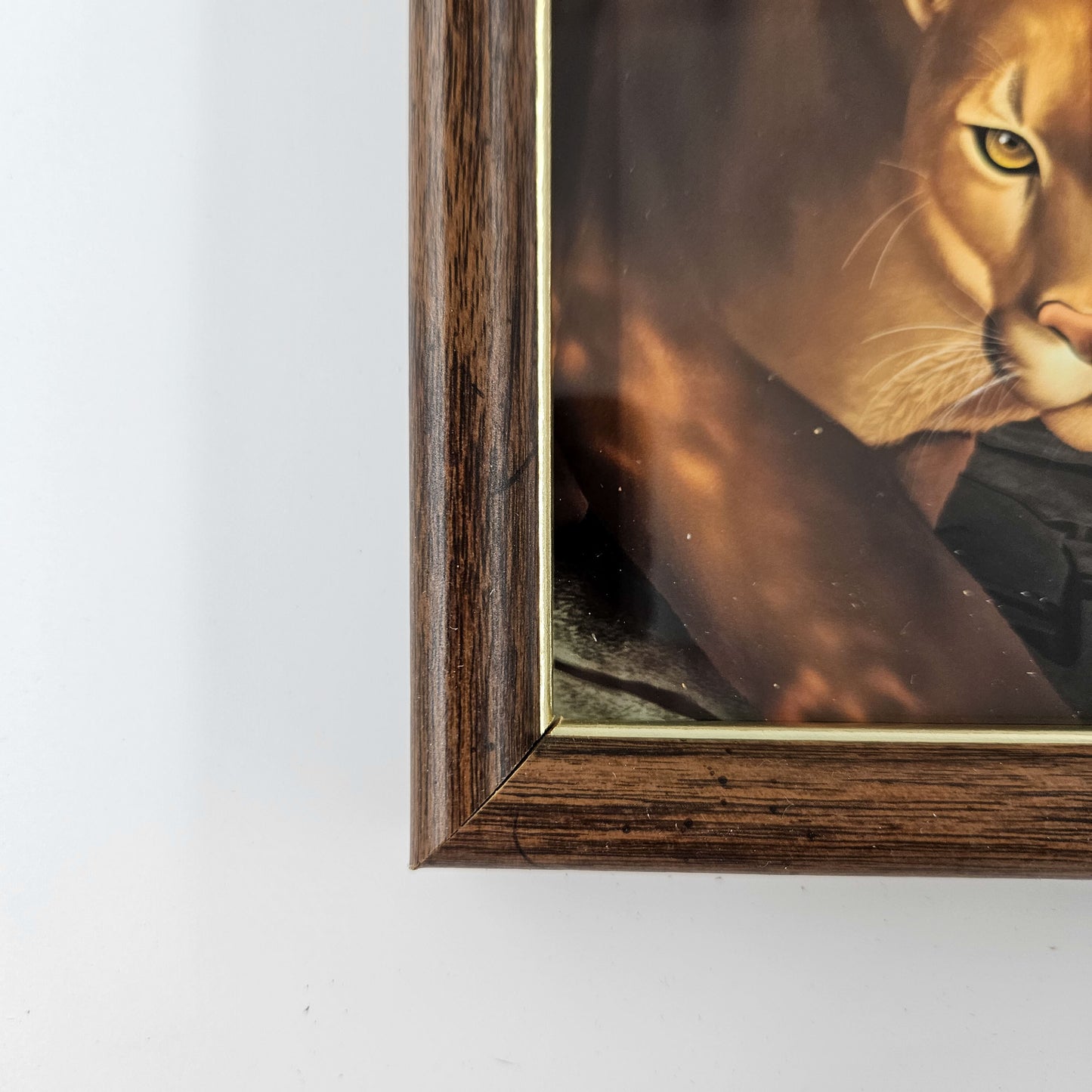 Vintage Rocky Mountain Cougar Print w/ Second-Life Frame 5.75"x 7.75"