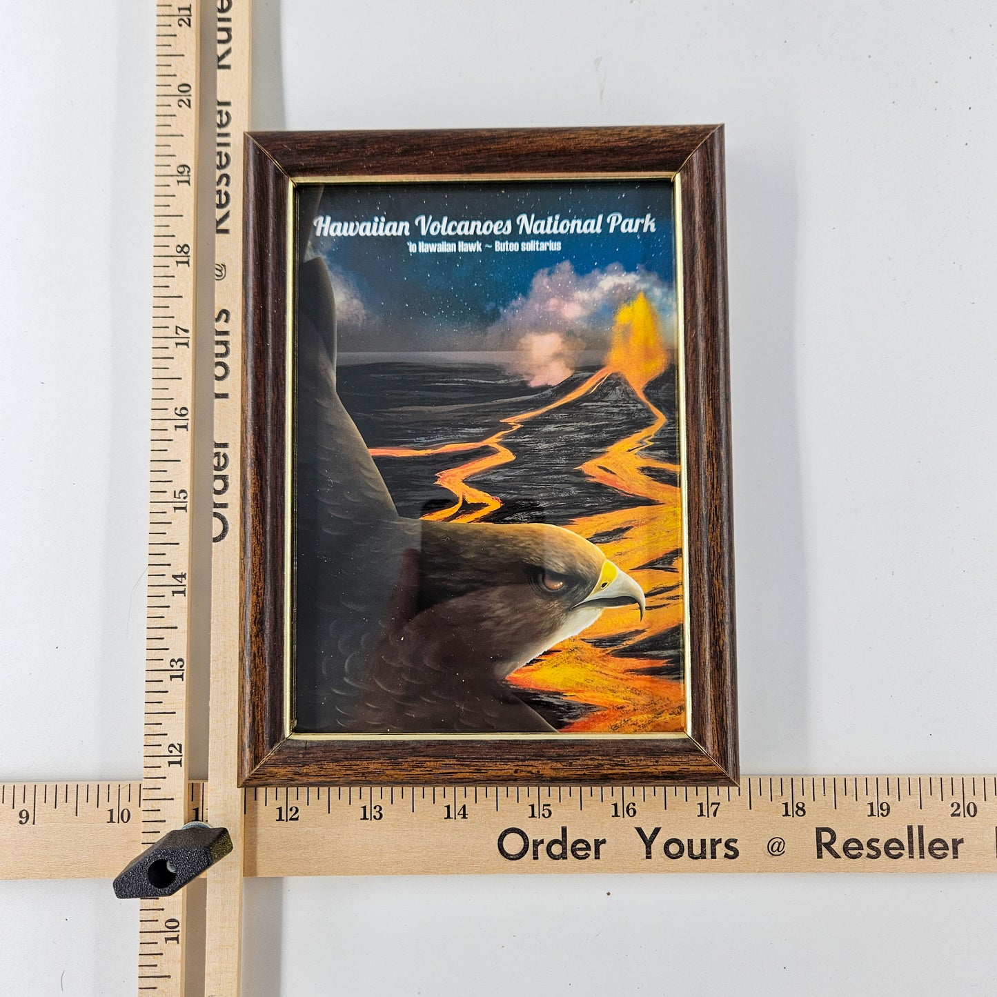 Vintage Hawaiian Volcanoes Hawaiian Hawk Print w/ Second-Life Frame 5.75"x 7.75"