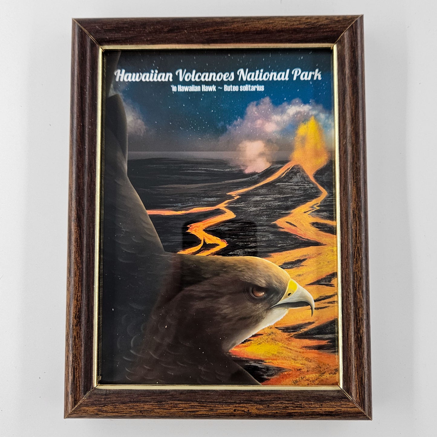 Vintage Hawaiian Volcanoes Hawaiian Hawk Print w/ Second-Life Frame 5.75"x 7.75"