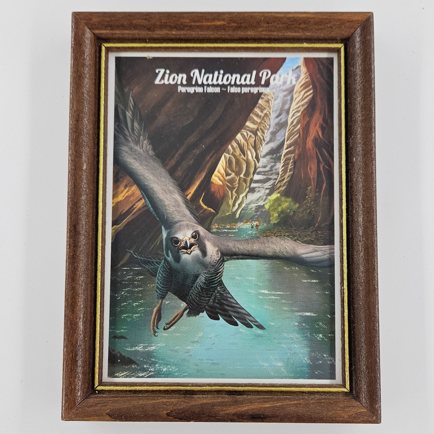 Vintage Zion Falcon Print w/ Second-Life Frame 6"x 7.75"