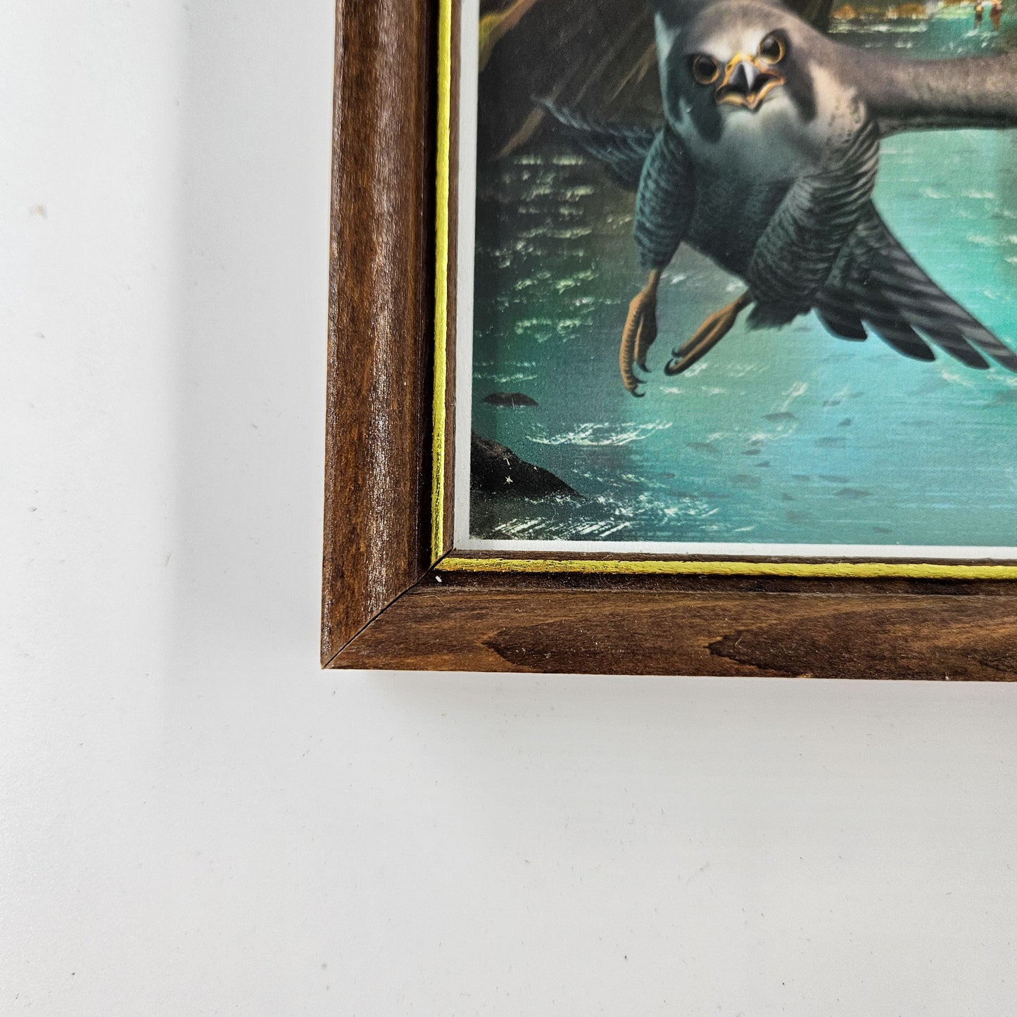 Vintage Zion Falcon Print w/ Second-Life Frame 6"x 7.75"