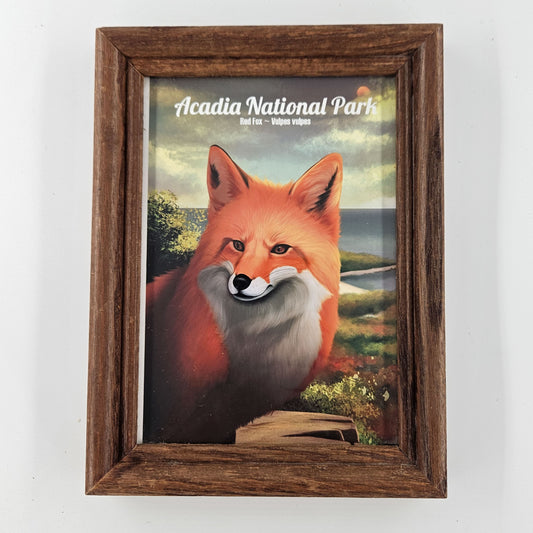 Vintage Acadia Red Fox Print w/ Second-Life Frame 6"x 7.75"