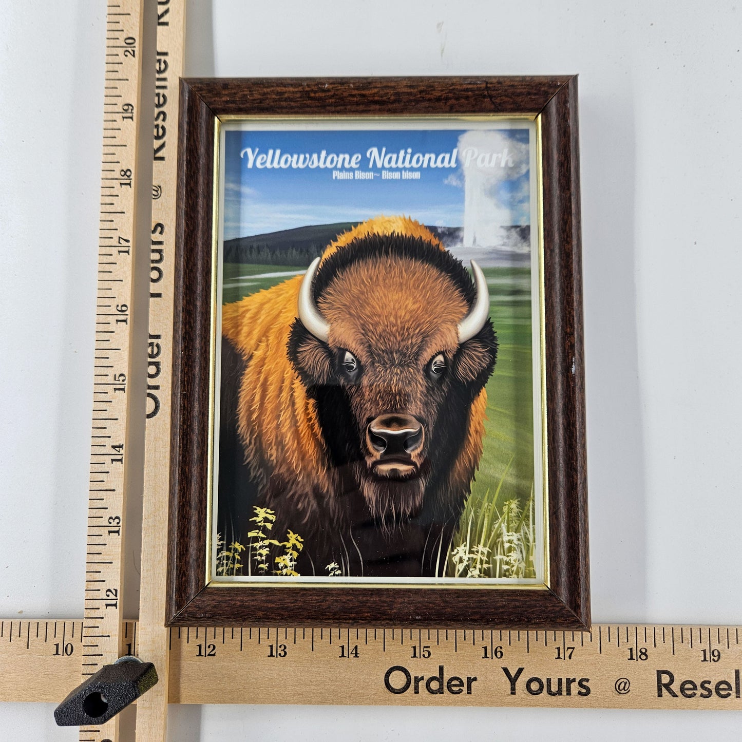 Vintage Yellowstone Bison Print w/ Second-Life Frame 6"x 7.75"