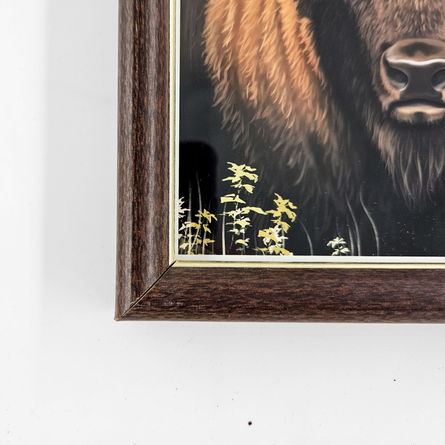 Vintage Yellowstone Bison Print w/ Second-Life Frame 6"x 7.75"