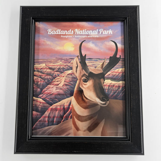 Rustic Badlands Pronghorn Print w/ Second-Life Frame 10" x 12"