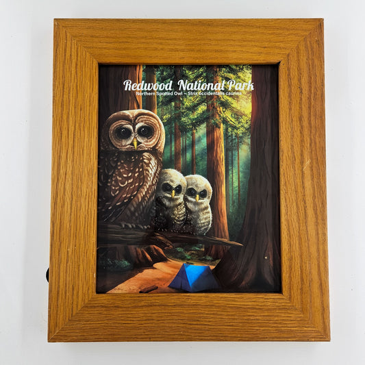 Rustic Redwood Owls Print w/ Second-Life Frame 11.25"x 13.25"